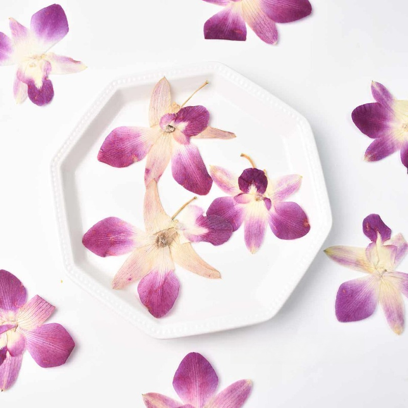 Home Decor Scrap - 4pcs,Real Pressed Butterfly Orchid Flowers DIY